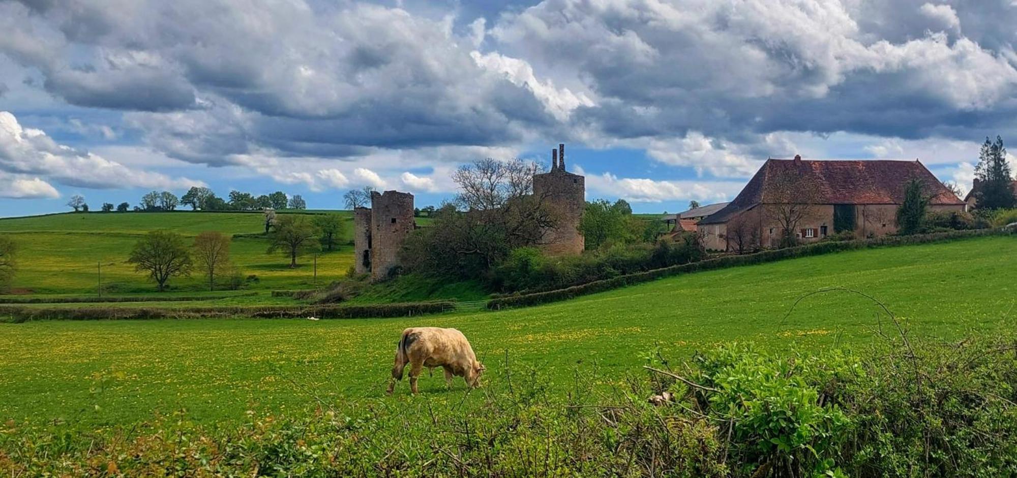 Maison Du Grand Moulin Saint-Aubin-en-Charollais Luaran gambar
