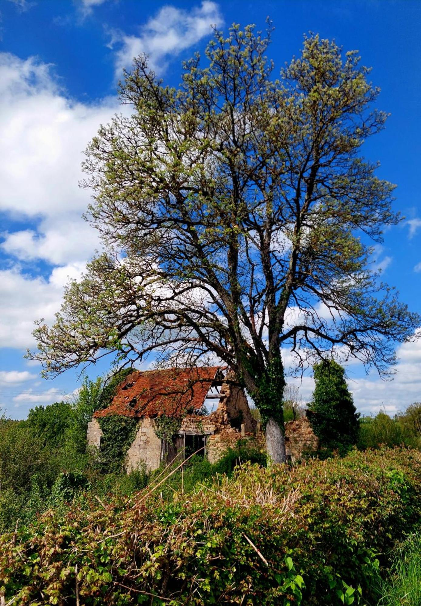 Maison Du Grand Moulin Saint-Aubin-en-Charollais Luaran gambar